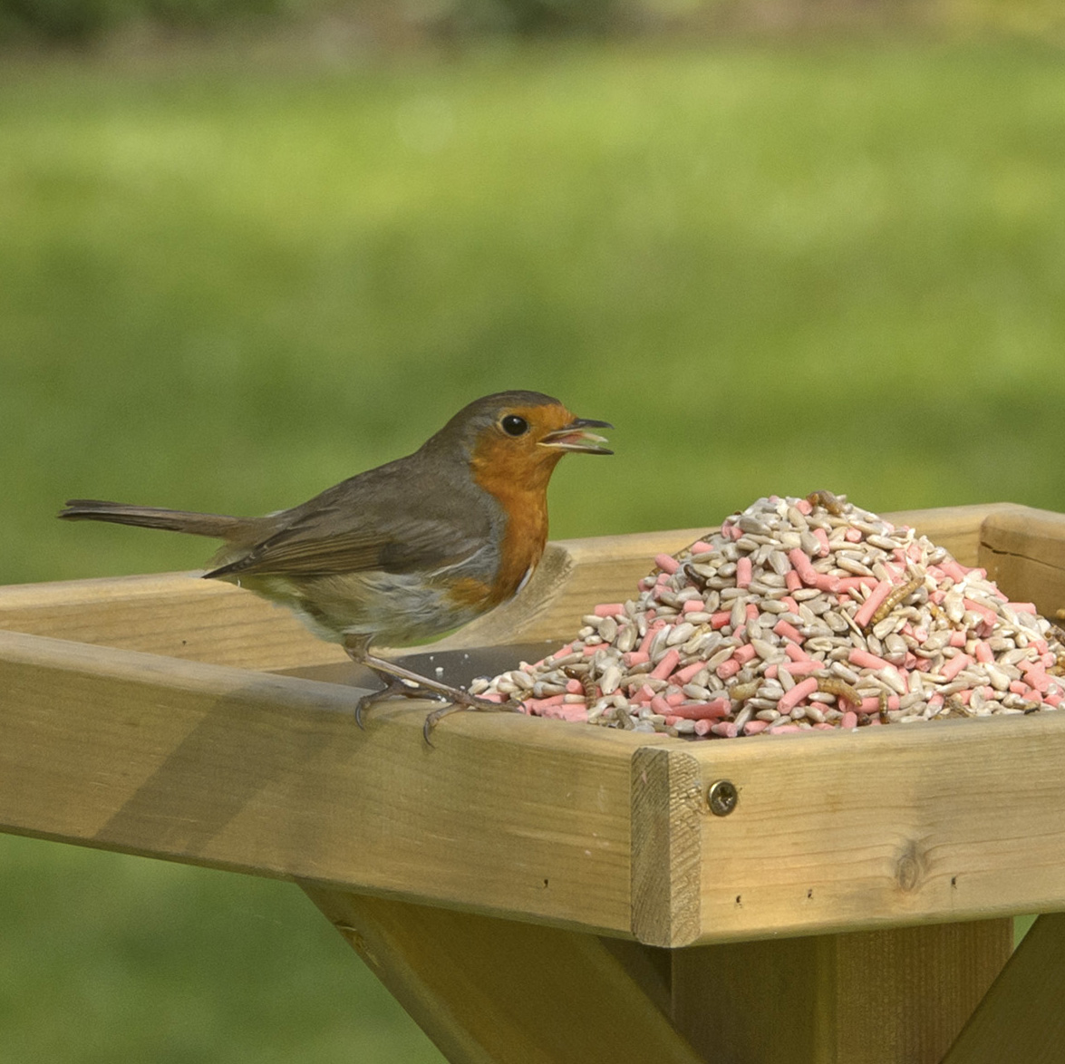 Bird Food Favourites Blend 12.75 Kg Sacks - RSPB Shop